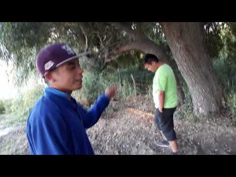 [ BATALLON ] ADESONG RAIDER vs BOLT SUPRA CROW