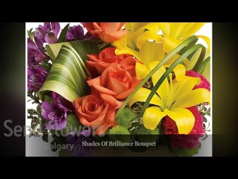 download lagu mp3 mp4 Florist Calgary Ne, download lagu Florist Calgary Ne gratis, unduh video klip Florist Calgary Ne