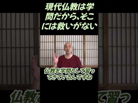 仏教学科 現代は仏教も学問として習うんじゃ、そこに救いはないですね#切り抜き＃ヨガ＃健康#仏教＃瞑想＃マインドフルネス