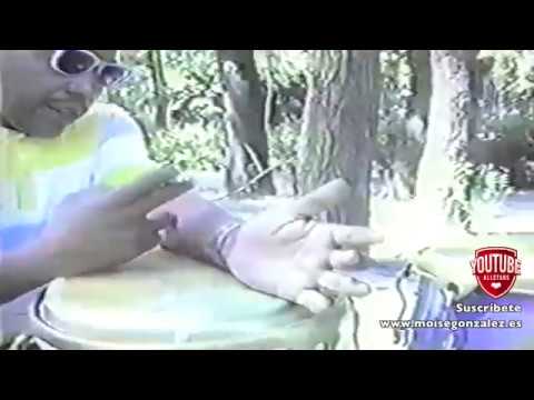 Changuito Short 3 / Inédito