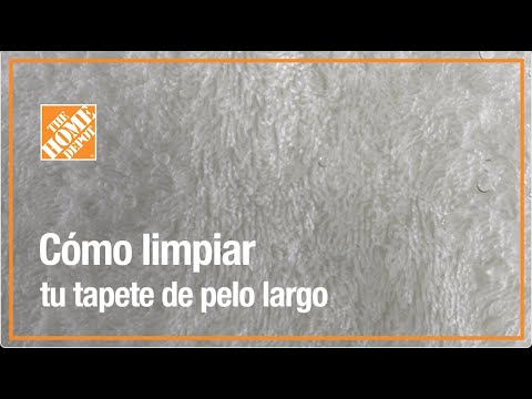 Part of a video titled Cómo limpiar tu tapete de pelo largo | Limpieza - YouTube