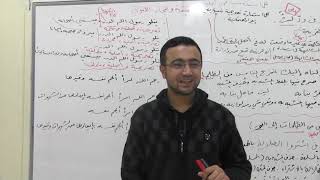 صورة تقسيم الاستعارة إلى مرشحة ومجردة ومطلقة