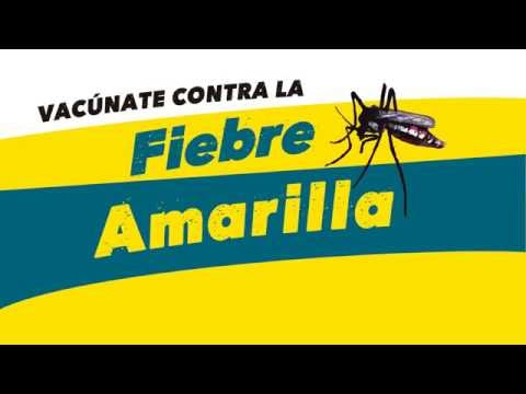 ¡Vacúnate contra la Fiebre Amarilla!