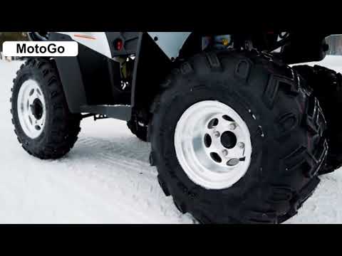 Видео обзор Linhai LH300ATV