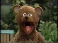 Sesame Street Baby Bear Needs A Break From Playing With Big Bird