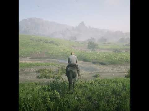 My Horse and I Wild West 🐎🌿 #rdr2