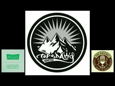 Episode 58.33 JJ-NYC of Top Dawg Seeds - 28/8/21