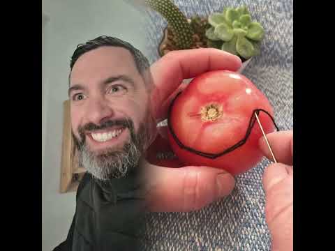 J'ai pas pris la Twingo au final #couple #pardon #excuses #amour #humour #relation #pourtoi #pourt