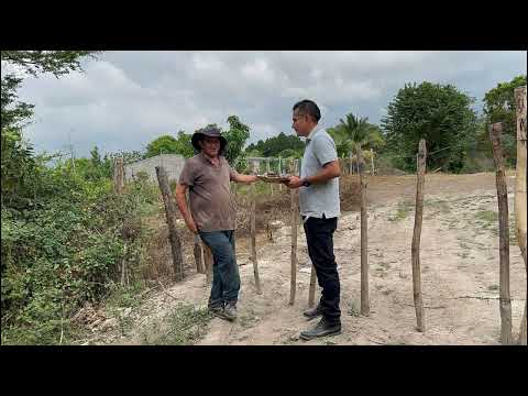 Rosario de Mora, Nuevas Ideas