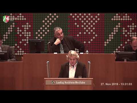 Haushalt Berufskollegs 2020 - 2019-11-27 - Plenarrede