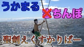 りゅうさんぽ番外編　うかまるさんぽ