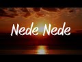 Nede Nede Alisha Chinoy Lyrics Dil Kehnda Main Tenu Bola Yaraan Da Katchup Lyrical Video Song