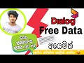 Dialog free data 2021 Dialog free data 2021