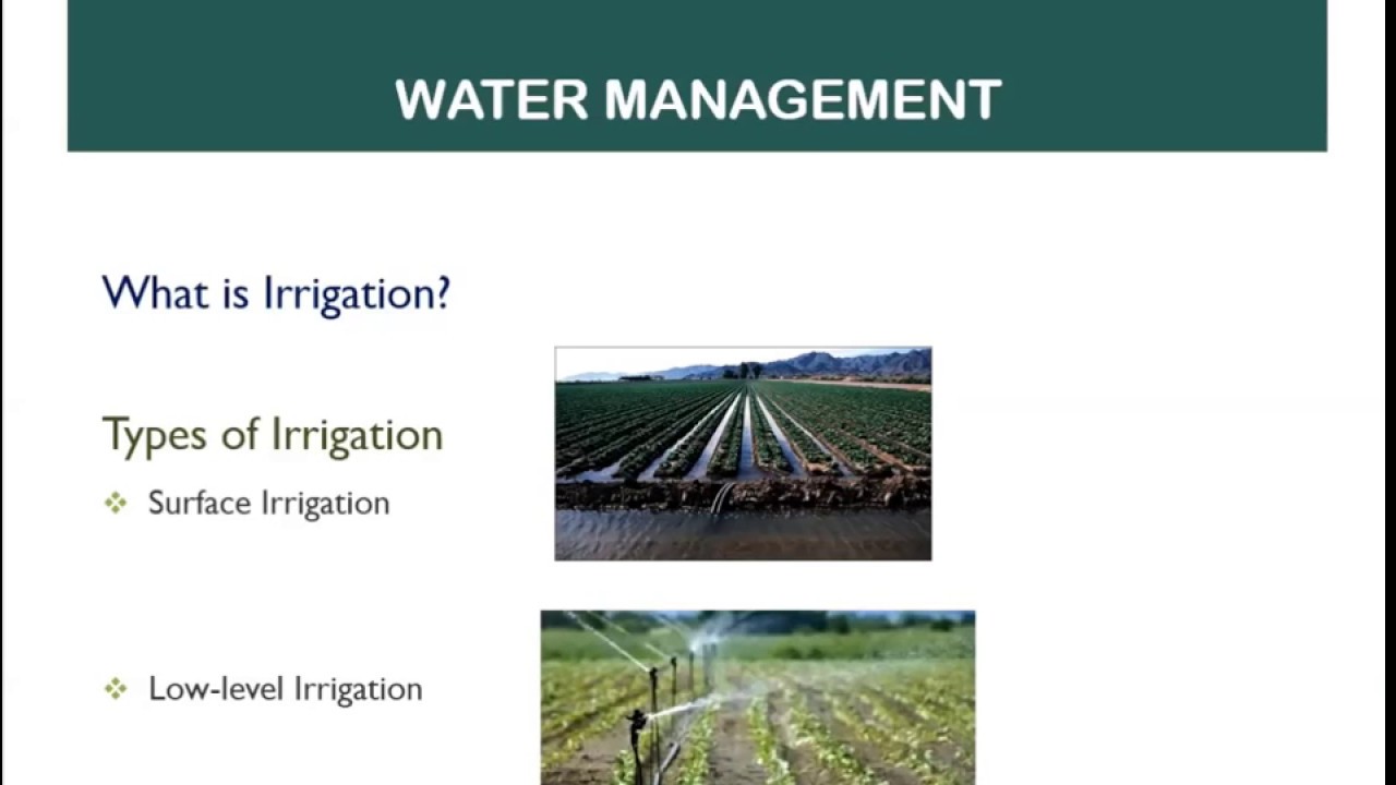 Irrigation Basics