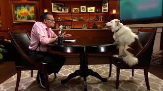 Larry King - Save A Stray video