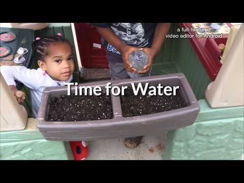 Gardening With The Booga Kids: Landen & Zamira