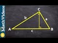 How to determine the similarity of three triangles by drawing the altitude