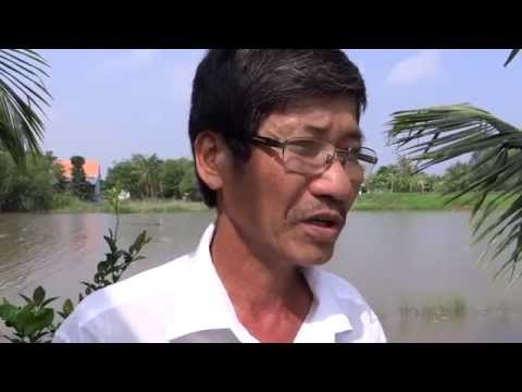 Dự án Trồng và bao tiêu sản phẩm từ CÂY GẤC