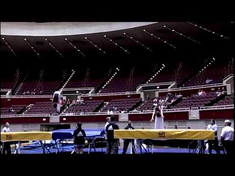 Logan Dooley and Steven Gluckstein - Synchro - 2009 Visa Championships - Finals