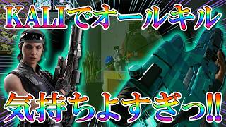オールキルするとアドレナリンがドバドバ溢れる。【キル集】