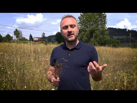 Kim je lek za srce, psorijazu, loše varenje, nadimanje, astmu i mnoge druge bolesti