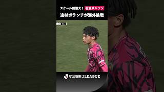 【スケール無限大】成長著しい逸材ボランチが欧州へ！石渡ネルソンがシントトロイデンVVに完全移籍