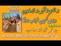 HD NAAT SHARIF NA AISI ZULFAIN NA AISA CHEHRA SAYED MEHR ALI SHAH SB