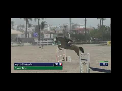 Crooner Tame - Oliva Février 2024