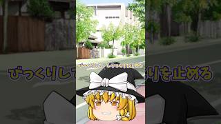 【ゆっくり茶番】なかなかしゃっくりが止まらない魔理沙　#short #アルミナ
