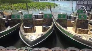 Ссылка