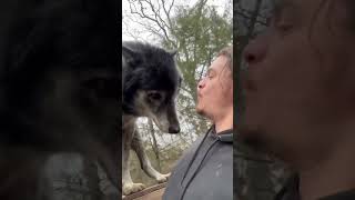 Download lagu Dont mind me mp3