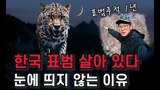 한국 표범은 살아 있다 !  눈에 띄지 않는 이유 !