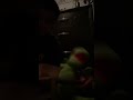 Kermit Is Angry At Woody