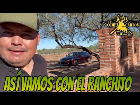 THIS IS HOW WE'RE DOING WITH THE LITTLE RANCH