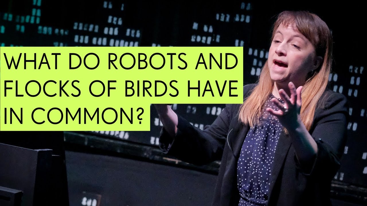 What Do Robots and Flocks of Birds Have in Common? - Sabine Hauert