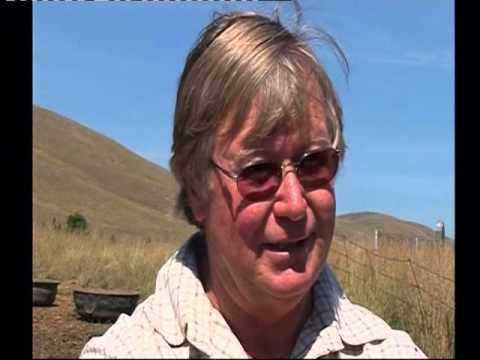 Gongolo - Newsnight BBC2, Thursday, 23 November, 2006