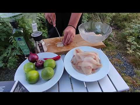 AHVEN CEVICHE | KUINKA VALMISTAT AHVEN CEVICHEA NOPEASTI JA VAIVATTOMASTI | KUUSAMO TOUR