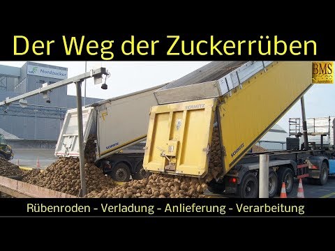 download lagu mp3 mp4 Nordzucker, download lagu Nordzucker gratis, unduh video klip Nordzucker