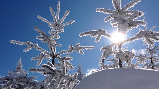 Nautical Operator - Snow