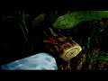 Conker S Bad Fur Day 2001 N64 2 Hour Gameplay 2 Minute Review