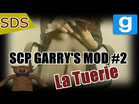 SCP LA SERIE  #2 // Souvenirs d'un Survivant -  SCP GMOD  - La Tuerie ( SCP 1048 )