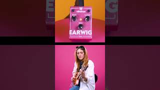 Video thumbnail for Tiny Fuzz Pedal, Big Fuzz Sounds – Olinthus Earwig Fuzz #fuzzpedal by Olinthus