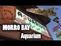 La Joya De Morro Bay California Aquarium