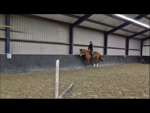 First time jumping under the saddle with Deffiete du Vlist Z.