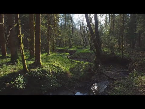 Video thumbnail for Your Hands My Pockets