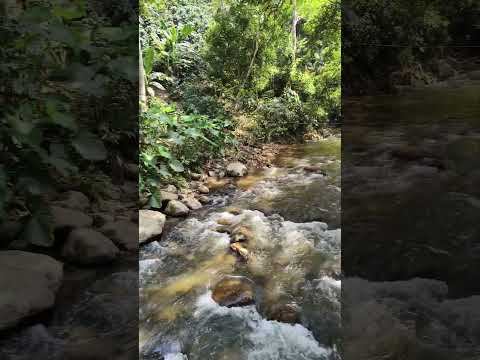 Guadalupe huila Colombia