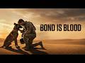 Bond Is Blood Stars Over Baghdad
