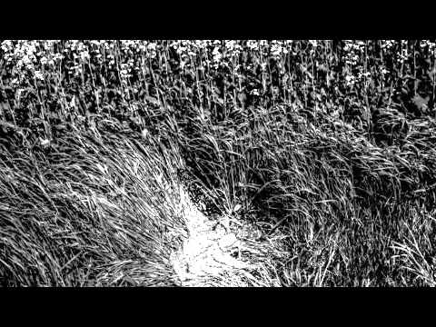 SEN -Kumorek/Leśmian