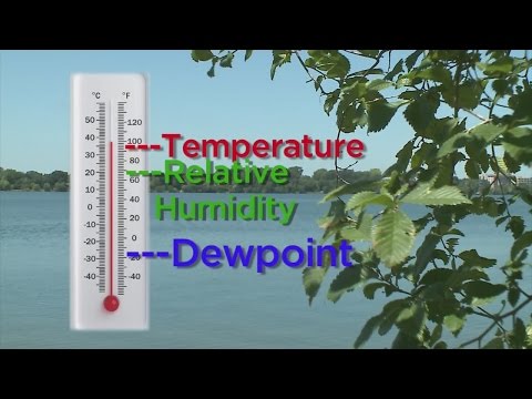 Good Question: What Is The Dew Point?