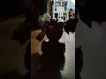 🕹️🦾Silverlit Robo Kombat Viking Battle🕹️🦾 #shorts #viral #entertainment #satisfying #vikings #robot